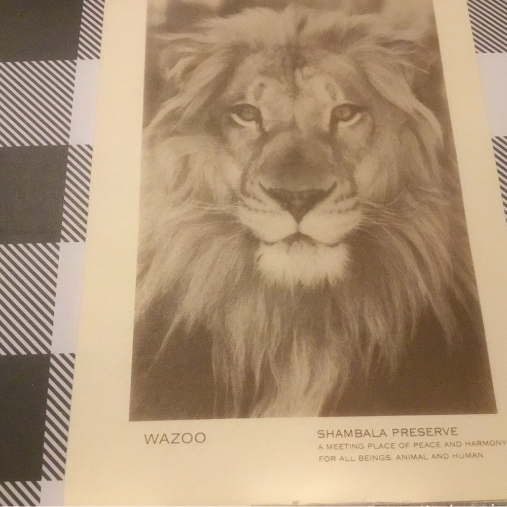 Shambala Preserve-The Roar Foundation Blank Note Cards